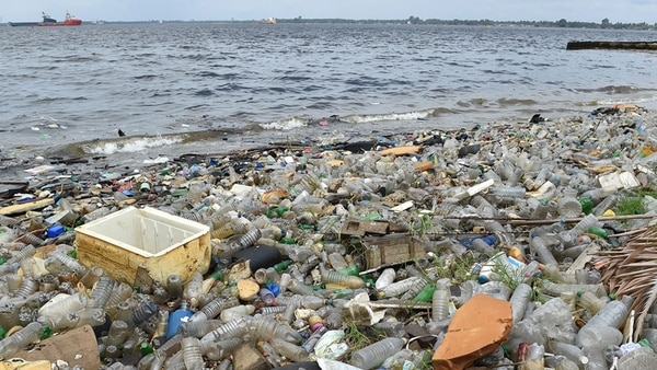 Contaminación en las playas 