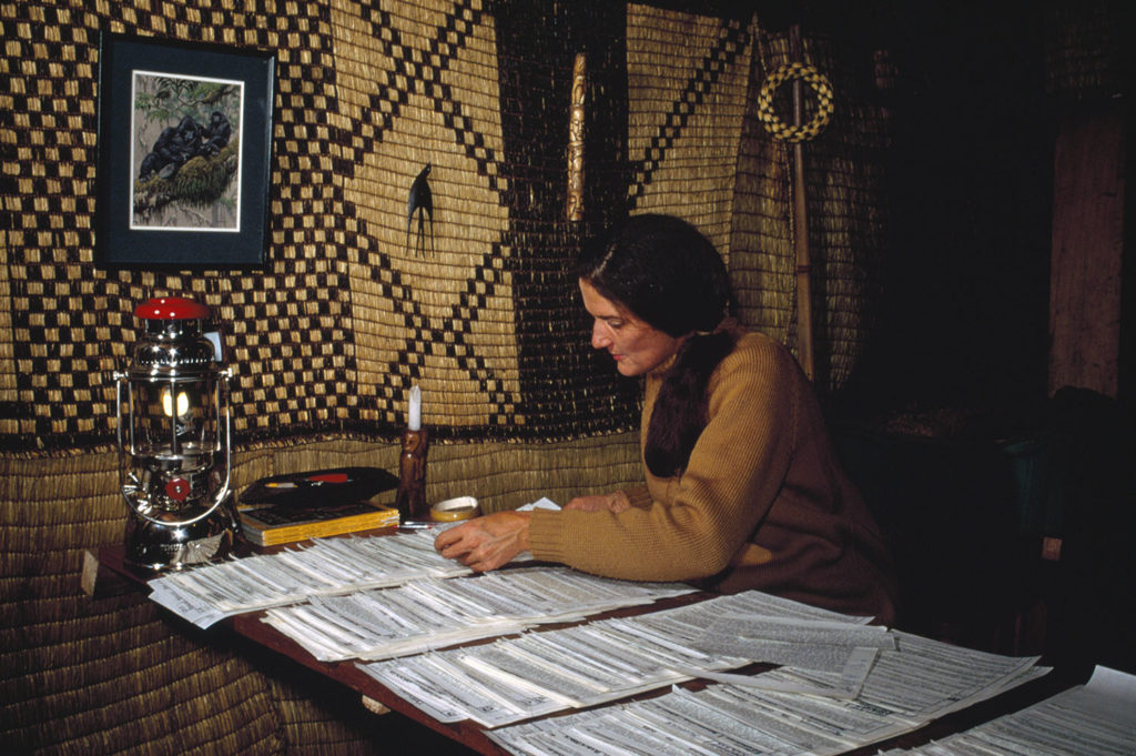 Dian Fossey en un escritorio con documentación