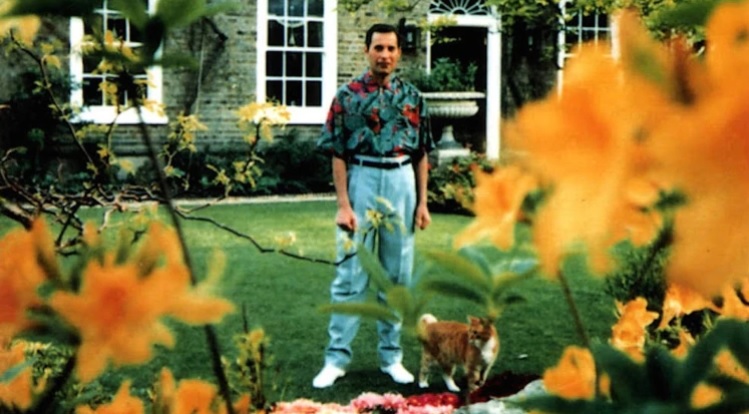 Freddie Mercury, sonriendo en su jardín: las últimas fotos antes de morir